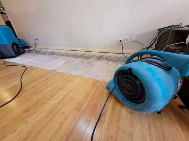 Professional Water Extraction technician working in Waltham, MA